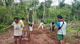 KARANG TARUNA BOBUNG LAKUKAN TAHAP PENANAMAN